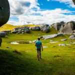 La Campagna Planthealth4Life Rilancia La Prevenzione Contro I Rischi Delle Piante Importate Nei Viaggi Estivi