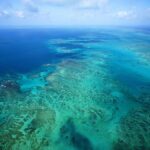 La Grande Barriera Corallina: Il Più Vasto Sistema Corallino Mondiale Lungo La Costa Del Queensland