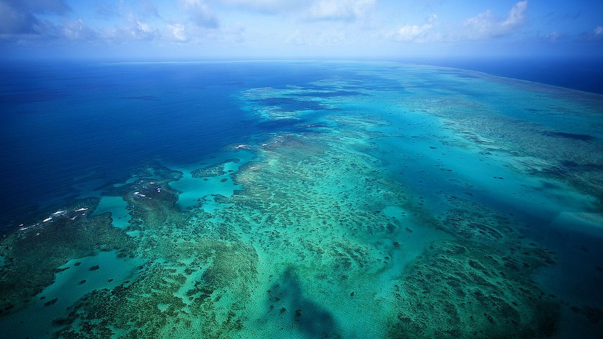La Grande Barriera Corallina3A