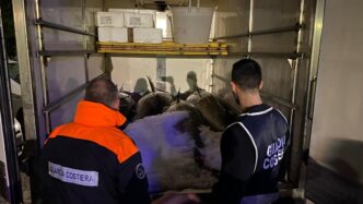 La Guardia Costiera Di Gioia T