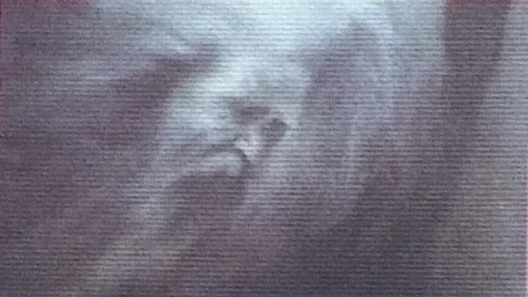La Morte Di Nadia Grohovac E A