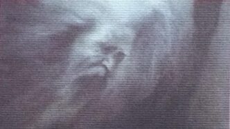 La Morte Di Nadia Grohovac E A