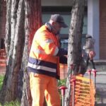 La Procura Di Roma Avvia Consulenza Su Cedimenti E Crolli Degli Alberi Dopo La Morte Di Francesca Ianni