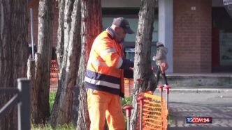 La Procura Di Roma Avvia Consu