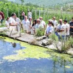 La Tutela E Valorizzazione Di 130 Peschiere Storiche Tra Le Colline Di Orsogna In Abruzzo Come Rifugio Della Biodiversità