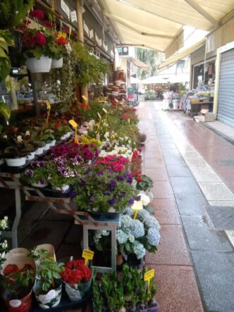 Ladispoli2C Trasloco Del Mercat