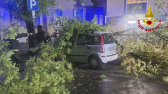 Maltempo E Incendi Hanno Causa