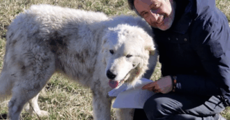 Mario Tozzi Indaga Sulle Cause