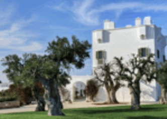 Masseria Torre Maizza Amplia L