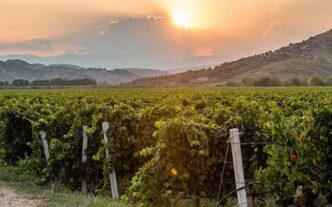 Merano Winefestival Sbarcherc3A0