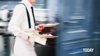 Mercato Del Lavoro In Friuli V