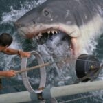 Mezzo Secolo Di Terrore In Acqua: Come Lo Squalo Di Spielberg Ha Cambiato Il Cinema