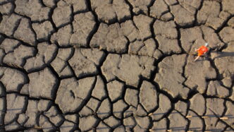 Migranti Climatici3A Nel 2023 O