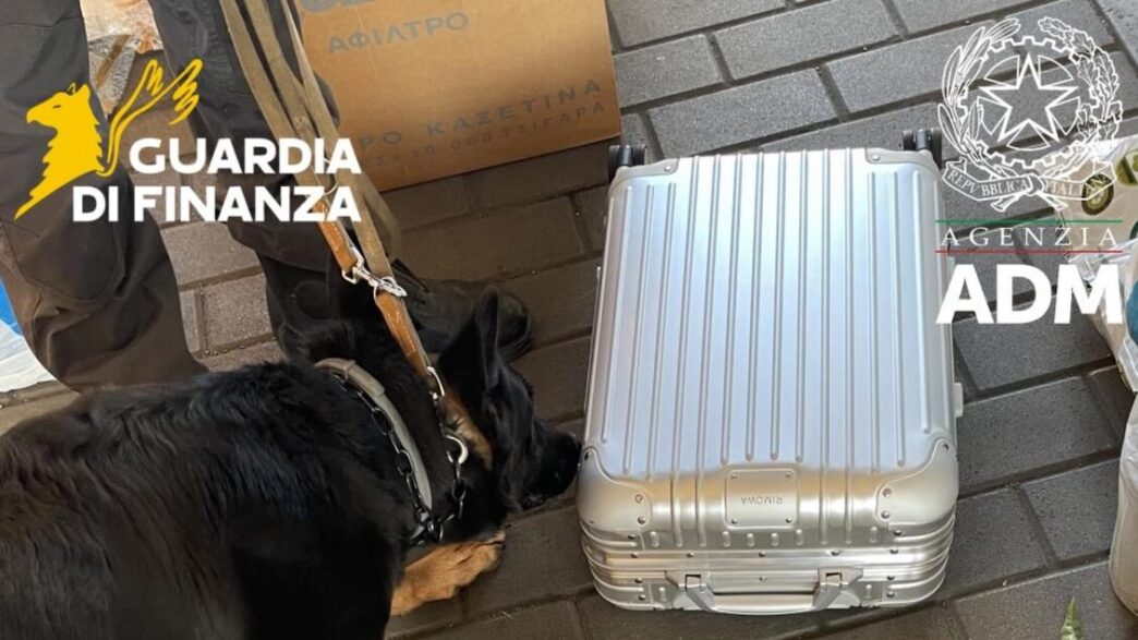 Minibus Sbarcato Ad Ancona Con