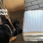 Minibus Sbarcato Ad Ancona Con 160Mila Euro Nascosti In Un Bagaglio: Intervento Di Dogane E Finanza