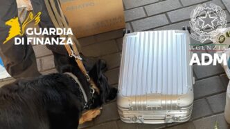 Minibus Sbarcato Ad Ancona Con