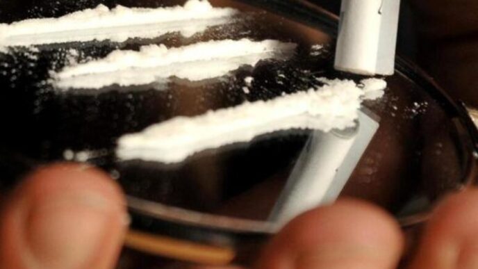 Morti Per Cocaina In Italia Ne