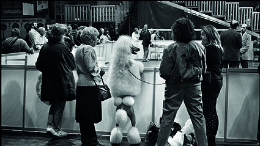 Mostra Elliott Erwitt A Palazz