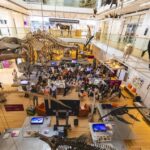 Muse Di Trento Supera I 460 Mila Visitatori Nel 2024 Con Un Incremento Rispetto All’Anno Precedente