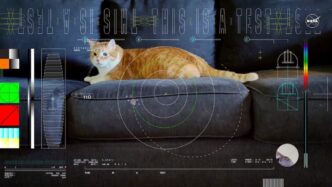 Nasa Invia Video Di Un Gatto A