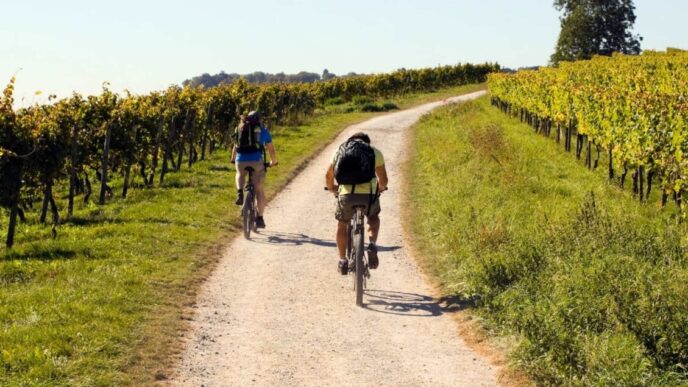 Nasce Il Percorso Cittadino Tr