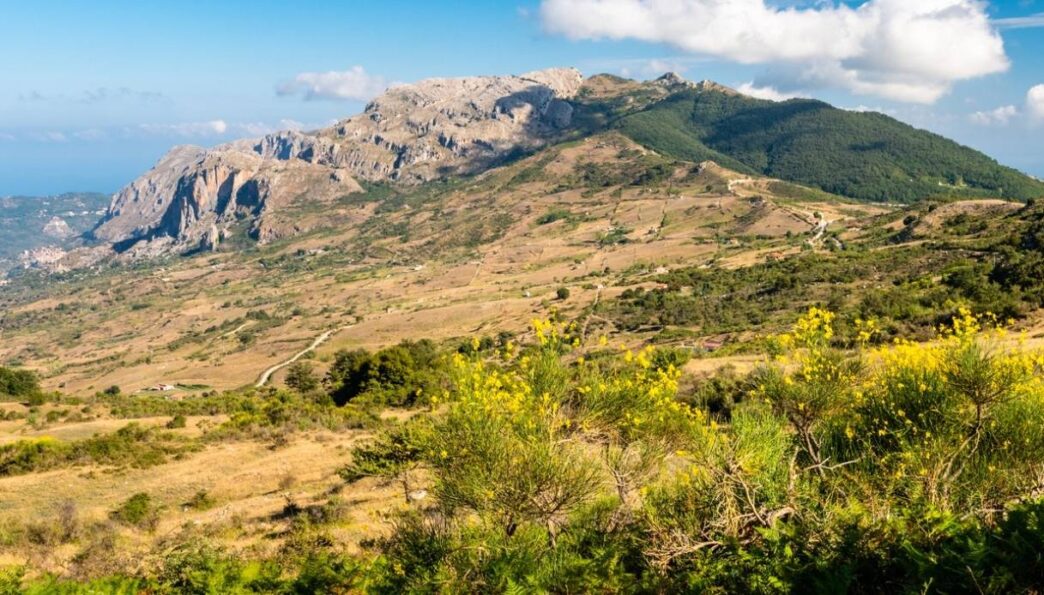 Nasce Il Progetto Le Vie Del R