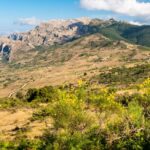 Nasce Il Progetto Le Vie Del Rosmarino Per Valorizzare I Borghi Di Alcara Li Fusi E San Marco D’alunzio