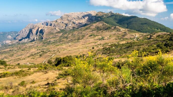 Nasce Il Progetto Le Vie Del R