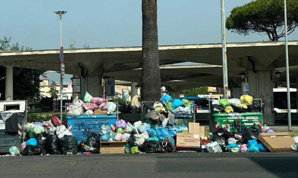 Nato A Latina Il Comitato Prom