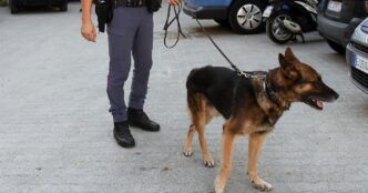 Nuovo Intervento Della Polizia