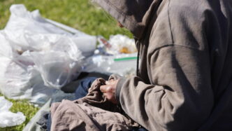 Occupazione Record E Disuguagl