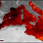 Ondata Di Calore Marina Nel Mediterraneo: Temperature Dell’acqua Oltre 5 Gradi Rispetto Alla Media