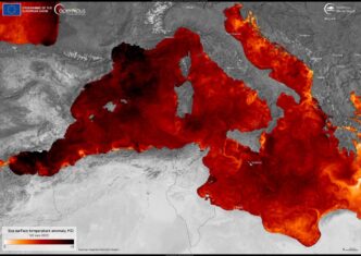 Ondata Di Calore Marina Nel Me