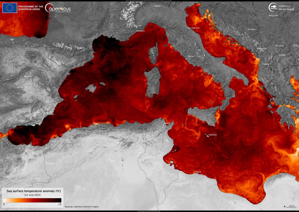 Ondata Di Calore Marina Nel Me