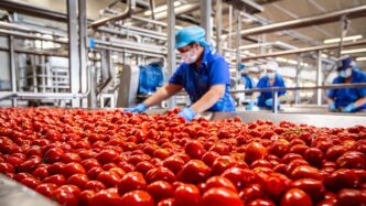 Open Day Di Conserve Italia A