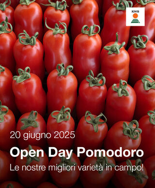 Open Day Sul Pomodoro A Fondi