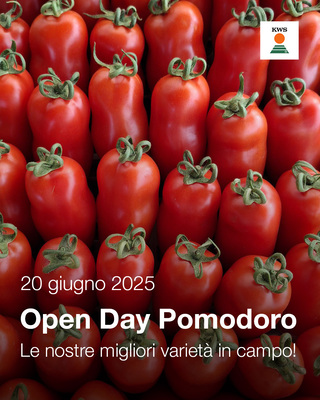 Open Day Sul Pomodoro A Fondi