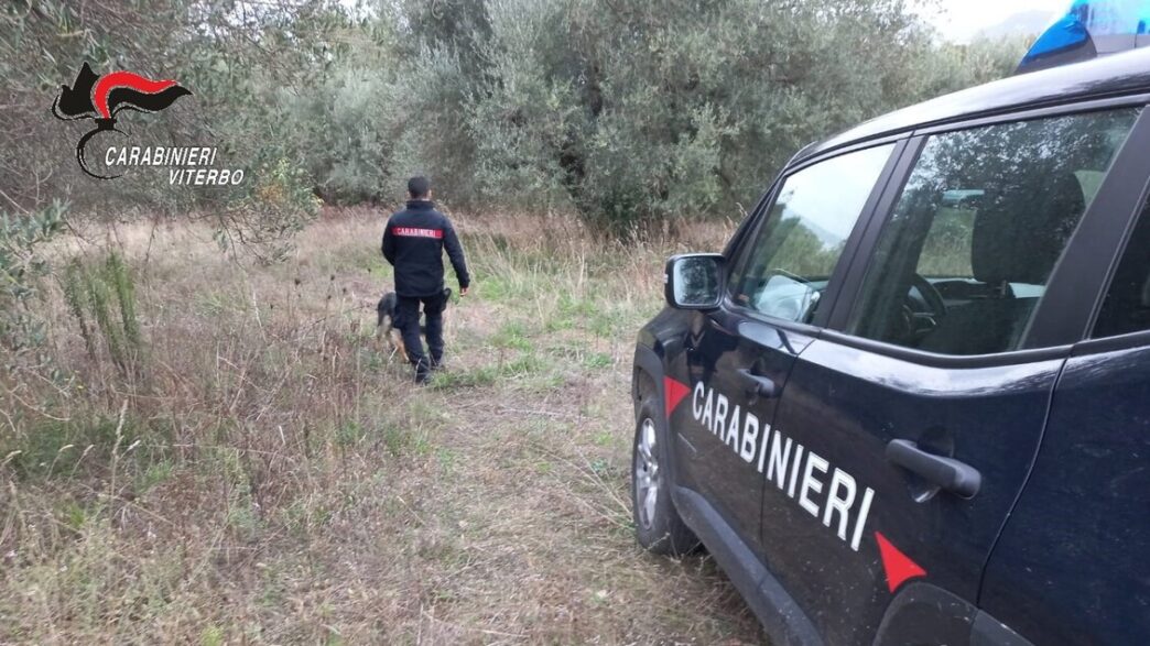 Operazione Antidroga Sulla Lit