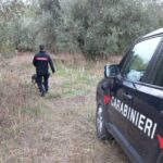 Operazione Antidroga Sulla Litoranea Viterbese: Sette Arresti E Sequestri Ingenti Di Stupefacenti