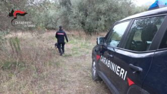 Operazione Antidroga Sulla Lit