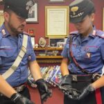 Operazioni Dei Carabinieri A San Giorgio A Cremano E Ercolano: Sequestrata Arma E Arrestato Pusher