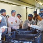 Ortofrutta Experience: Il Tour 2025 Per Avvicinare I Giovani Alle Produzioni Italiane Tra Lazio E Sicilia