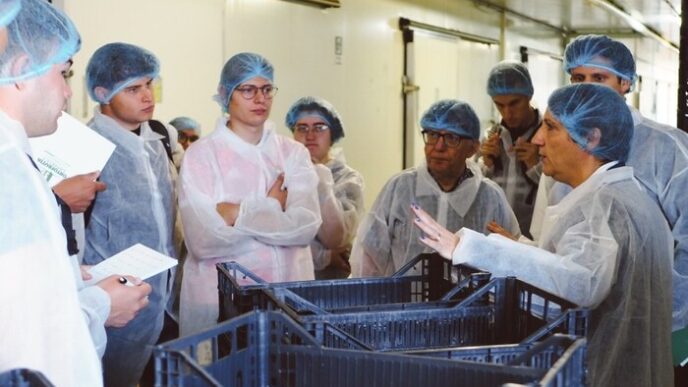 Ortofrutta Experience3A Il Tour