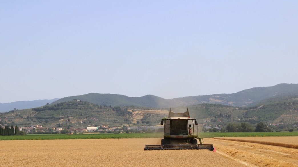 Partita La Trebbiatura Del Gra