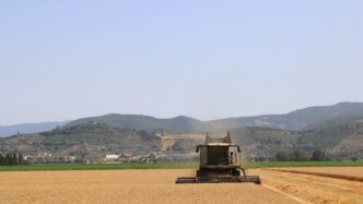 Partita La Trebbiatura Del Gra