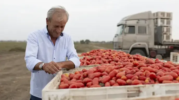 Passate Di Pomodoro Nei Superm