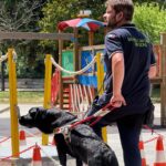 Pescara, Una Cane Guida Per Greta: Il Dono Del Lions Club Pesca E Il Primo Incontro Al Parco Florida
