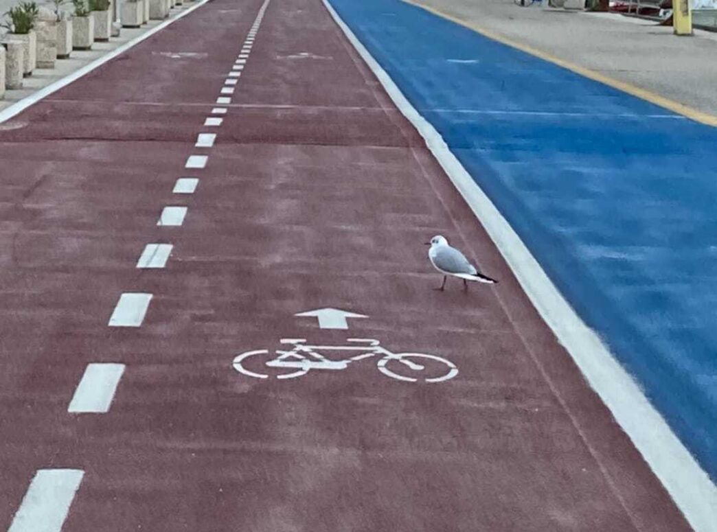 Pescara Inaugura Nuovo Tratto