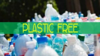 Plastic Free Day A Giulianova3A