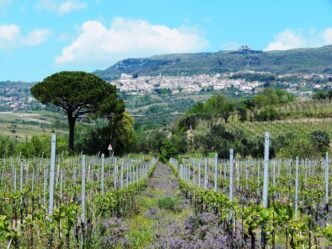 Presentate Le Nuove Annate De